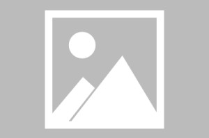 我来教教大家新二号大厅有挂吗”(透视挂)最新辅助详细教程